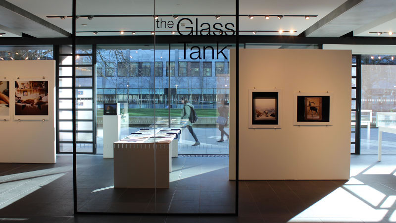 The Glass Tank gallery